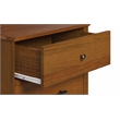 Pemberly Row Contemporary Mid-Century Night Stand in Castanho Finish