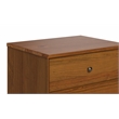 Pemberly Row Contemporary Mid-Century Night Stand in Castanho Finish