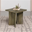 Pemberly Row Farmhouse Rectangular Solid Wood End Table Mango Brown