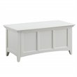 Pemberly Row Contemporary Storage Blanket Chest in Antique Ivory