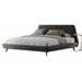 King /Dark Gray