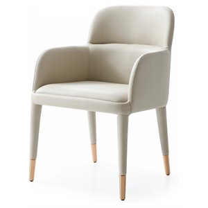 Pemberly Row 19&quot Modern Eco-Leather Dining Arm Chair in Beige/Gold