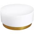 Pemberly Row White Lacquer Metal Coffee Table with Durable Gold Base