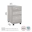 Pemberly Row 3 Drawer Mobile File Cabinet in Platinum Gray - Engineered Wood
