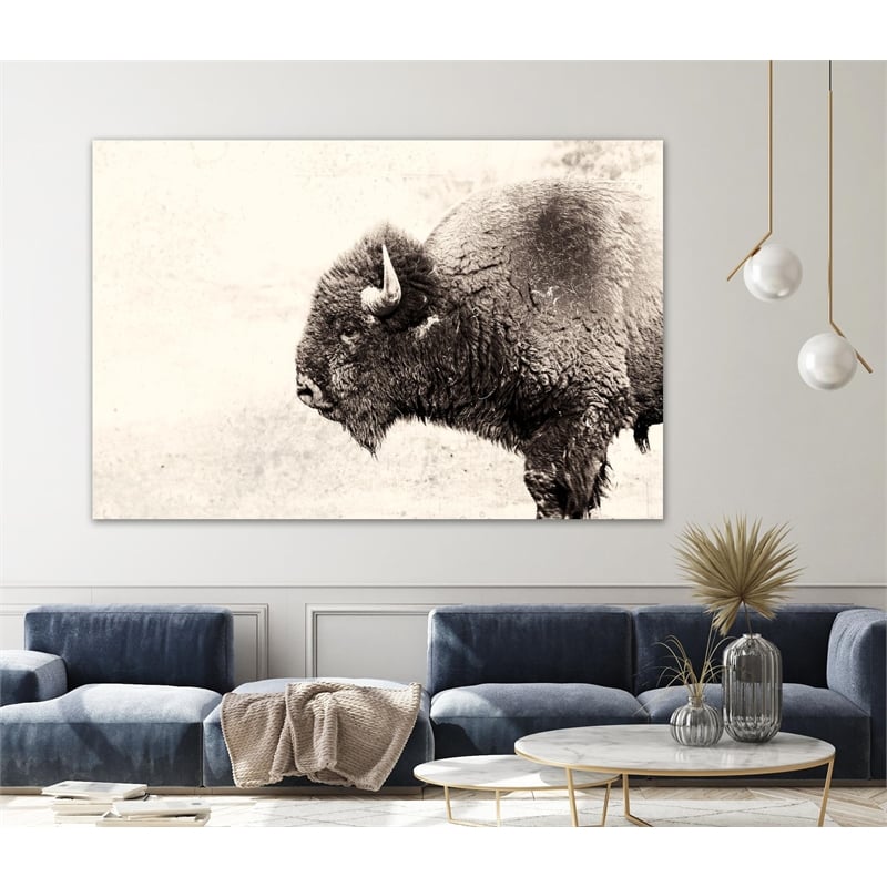 Pemberly Row 84x54 Buffalo Fine Art Giant Canvas Print in Pink