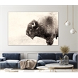 Pemberly Row 84x54 Buffalo Fine Art Giant Canvas Print in Pink