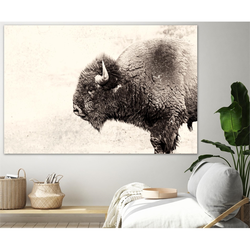 Pemberly Row 84x54 Buffalo Fine Art Giant Canvas Print in Pink