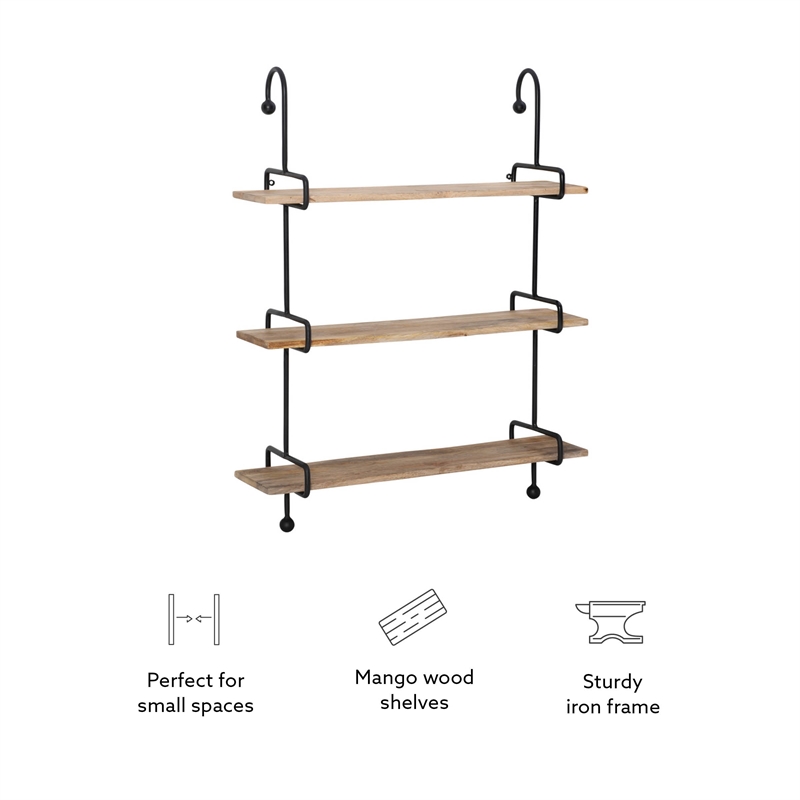 Pemberly Row Modern / Contemporary Metal Wall Shelves in Black