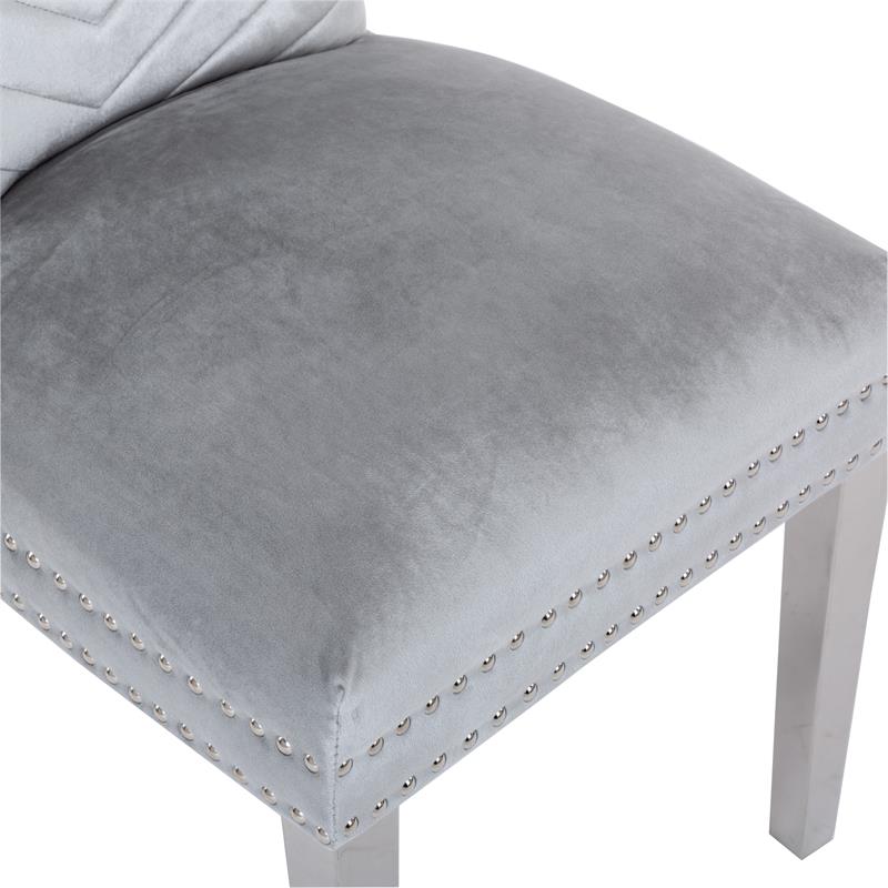 Pemberly Row 2 Piece Stainless Steel Legs Chair with Velvet Fabric in Silver