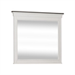 Pemberly Row Contemporary Transitional White Finish Crown Mirror