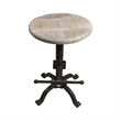 Pemberly Row Adjustable Stool in Natural Driftwood/Aged Iron