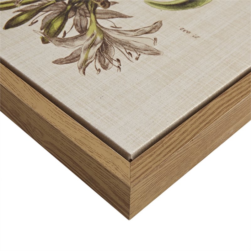 Pemberly Row 4-Piece Wood Framed and Fabric Herbal Botany Canvas Set in Green