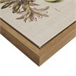 Pemberly Row 4-Piece Wood Framed and Fabric Herbal Botany Canvas Set in Green