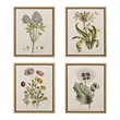 Pemberly Row 4-Piece Wood Framed and Fabric Herbal Botany Canvas Set in Green