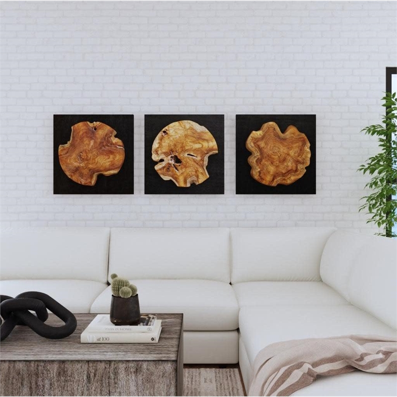 Pemberly Row Teak Wood Wall Decor in Black/Woodtone (Set of 3)