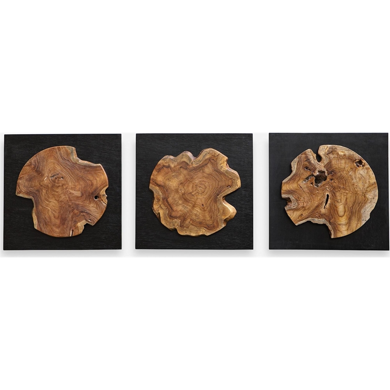 Pemberly Row Teak Wood Wall Decor in Black/Woodtone (Set of 3)
