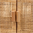 Pemberley Row Mahogany Wood Brown Storage Cabinet Rectangular Woven Rattan Fully Assembled