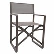 Pemberly Row Aluminum Patio Directors Chairs in Brown Taupe (Set of 2)