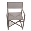 Pemberly Row Aluminum Patio Directors Chairs in Brown Taupe (Set of 2)