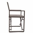Pemberly Row Aluminum Patio Directors Chairs in Brown Taupe (Set of 2)