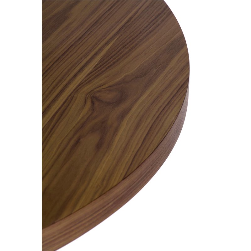 Pemberly Row Modern Wood Veneer & High Polished Steel Dining Table in Walnut