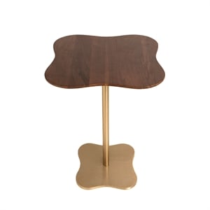Pemberly Row Modern / Contemporary Wood Side Table in Gold Finish