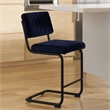 Pemberly Row Modern Counter Height Stools (Set of 2) in Sapphire