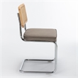 Pemberly Row Cane Back Velvet Side Chair (Set of 2) in Silver