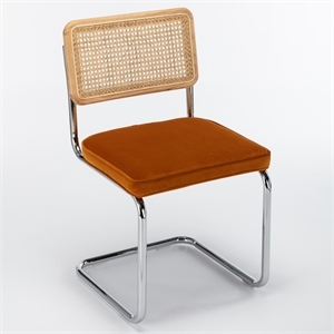 Pemberly Row Cane Back Velvet Side Chair (Set of 2) in Light Brown