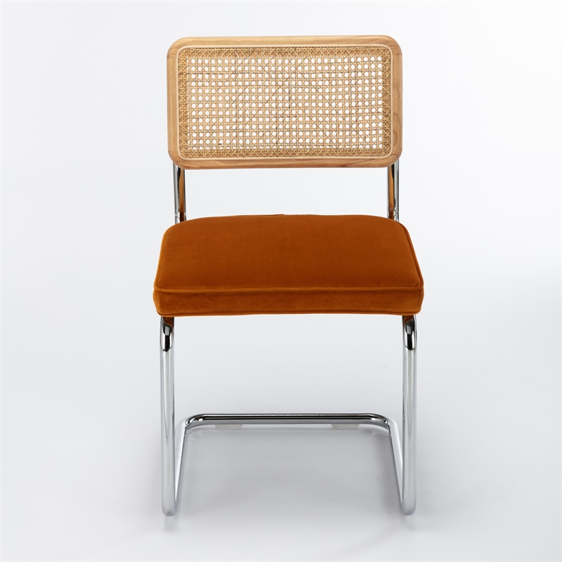 Pemberly Row Cane Back Velvet Side Chair (Set of 2) in Light Brown
