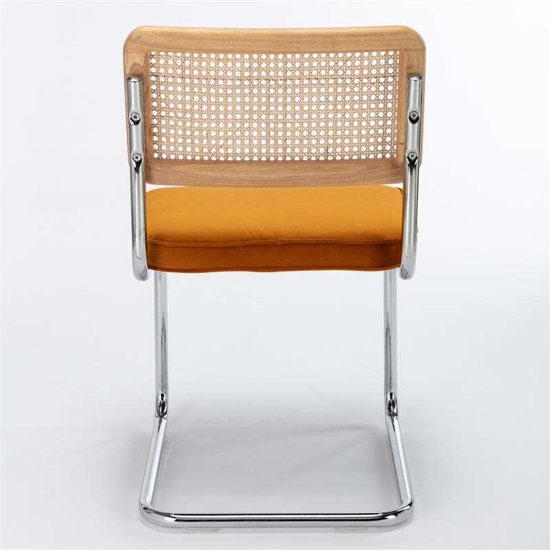 Pemberly Row Cane Back Velvet Side Chair (Set of 2) in Light Brown