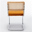 Pemberly Row Cane Back Velvet Side Chair (Set of 2) in Light Brown