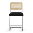 Pemberly Row Cane Back Fabric Counter Height Stool (Set of 2) in Black