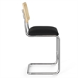Pemberly Row Cane Back Fabric Counter Height Stool (Set of 2) in Black