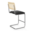 Pemberly Row Cane Back Fabric Counter Height Stool (Set of 2) in Black