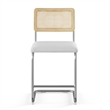 Pemberly Row Cane Back Fabric Counter Height Stool (Set of 2) in White