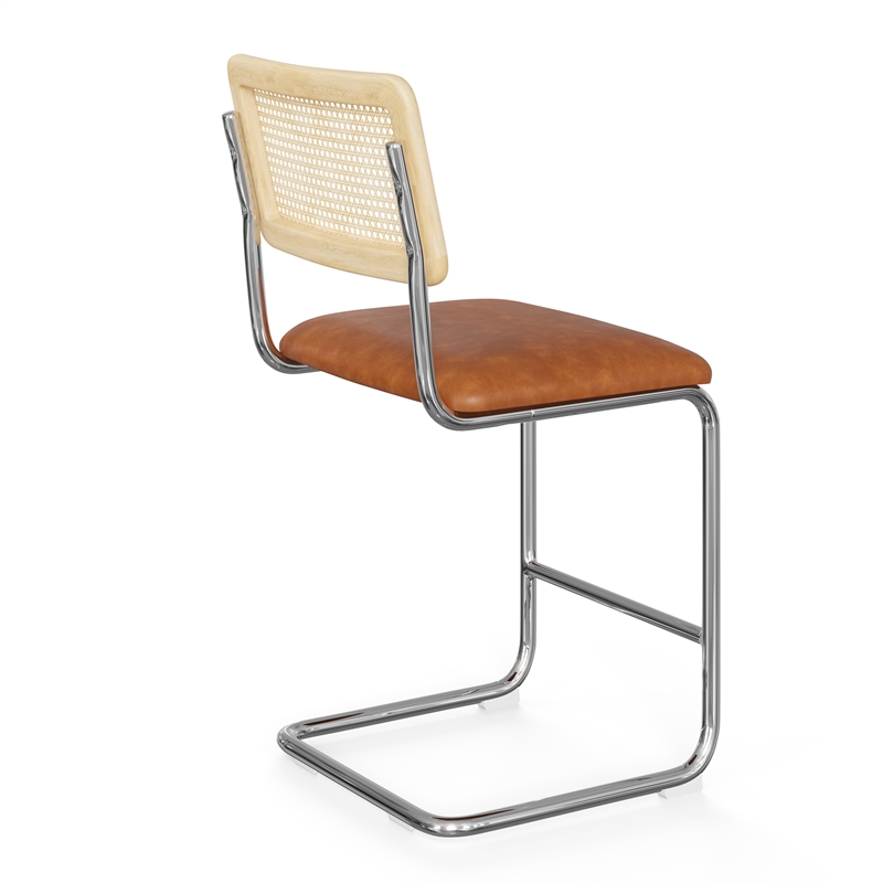 Pemberly Row Cane Back Vegan Leather Counter Height Stool (Set of 2) in Brown