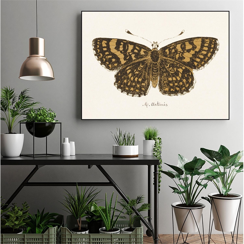 Pemberly Row Canvas 24x18 Antique Butterfly Framed in Multi-Color