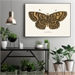 Pemberly Row Canvas 24x18 Antique Butterfly Framed in Multi-Color