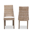Pemberly Row Modern Bohemian Gray Rattan 2-Piece Dining Chair Set