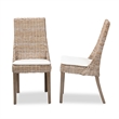 Pemberly Row Modern Bohemian Gray Rattan 2-Piece Dining Chair Set