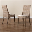Pemberly Row Modern Bohemian Gray Rattan 2-Piece Dining Chair Set