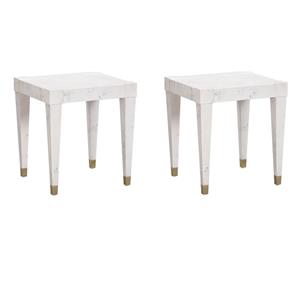Pemberly Row Set of 2 Contemporary Engineered Wood End Tables in White