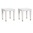 Pemberly Row Set of 2 Contemporary Engineered Wood End Tables in White
