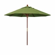 Pemberly Row 9' Wood Pole Hardwood Ribs Push Lift in Spectrum Cilantro