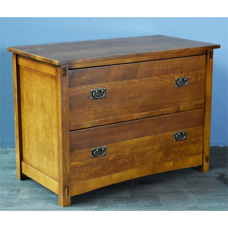 Pemberly Row Modern 2-Drawer Wood Lateral File Cabinet in Oak