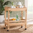 Pemberly Row 1-Shelf Modern Rattan & Wood Wine Cart in Natural Brown