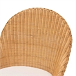 Pemberly Row Modern Bohemian Light Honey Rattan Dining Chair