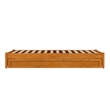 Pemberly Row Twin XL Wood Panel Platform Bed with Twin XL Trundle - Light Toffee