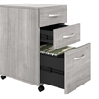 Pemberly Row 3 Drawer Mobile File Cabinet in Platinum Gray - Engineered Wood